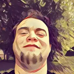 Пример обработки изображения в приложении «Prisma».