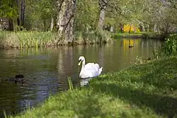 Пруд в саду