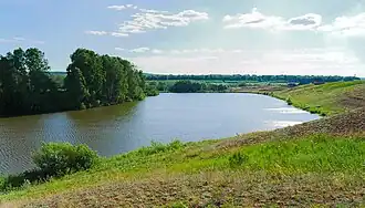 Пруд возле хутора Подлесный