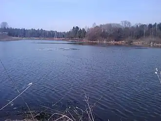 Пруд в Порядино