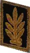 петлицы мпс 1973
