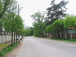 Разлив. 2-я Поперечная улица