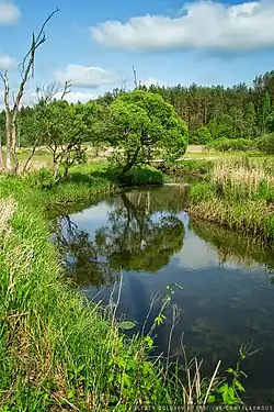 Река возле деревни Выдренка