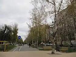 Рахова ул. угол ул. Мичурина