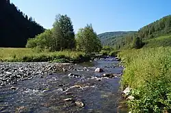 Среднее течение реки летом 2014 года