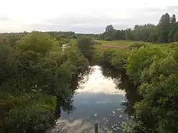 Вид на реку с моста близ деревни Жданово