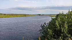 Вид вниз по течению с железнодорожного моста (недалеко от устья)