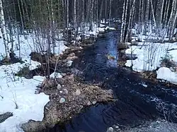 Вид с автомобильного моста по течению.