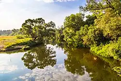 Вид на нижнее течение Колокши с моста около деревни Юрино летом 2014 года