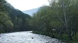 Вид на реку летом 2015 года