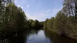 Река Линда в районе деревни Рекшино