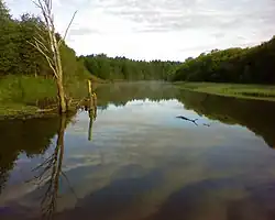 Нижнее течение реки Малая Визинга