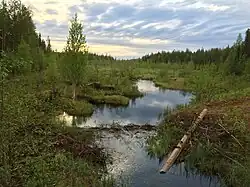 Вид против течения