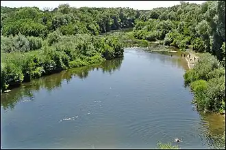 Река Медведица у села Бутырки