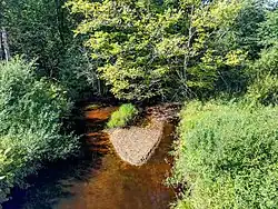 Вид с моста автодороги