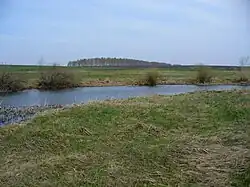 Пачога между деревнями Поливаново и Лобково