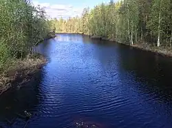 Вид против течения