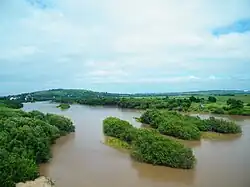 Река Раздольная у села Утёсное. Наводнение.Вдали — Хенина сопка (г. Уссурийск)