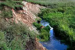 Средний Аниш возле склона Чарду