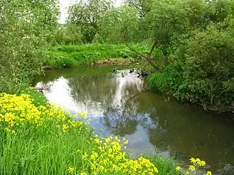 Река Стрелка в поселке Новополье