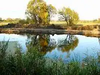 Река Суджа летом 1996 года