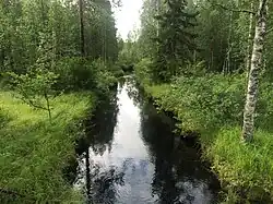 Река Суованйоки. Вид по течению