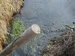 река Сюткес