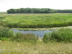 Река на стыке Аннинского и Таловского районов