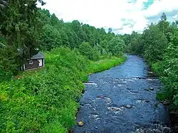 Речка Усланка недалеко от устья