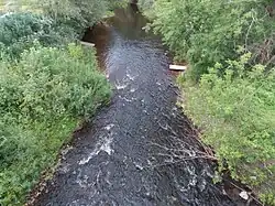 Хоринка в районе п. Кулотино