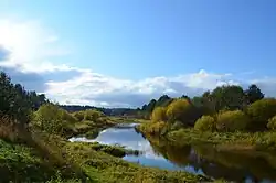 Шорда в районе деревни Бородина