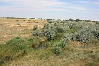 Домбаровка и одноименный посёлок