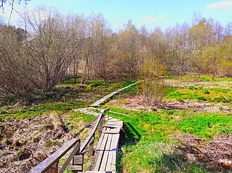 Речка Павшинка (Тарасовка)