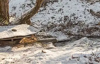 Родник в деревне Гевино