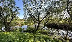 Россажа (справа) впадает в Сож