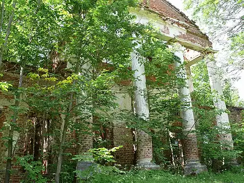 Руины усадьбы Рачинских в Татево