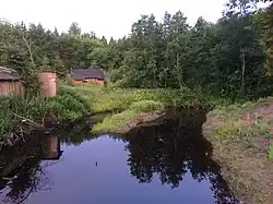 Вид против течения