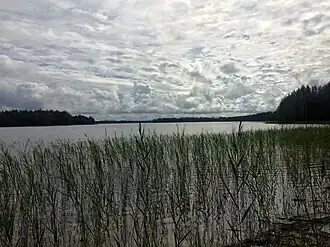 Северо-западная оконечность Руотаусъярви