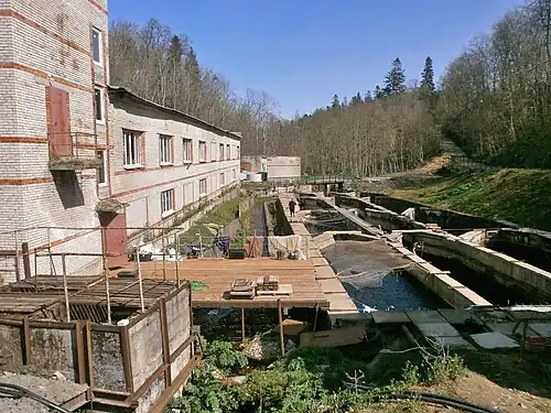 Рыбопитомник Рудица за нижним радоновым озером на реке Лопухинка