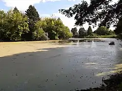 пруд на реке в селе Жерновка