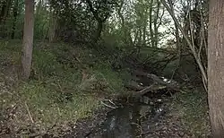 река в Беличанском лесу