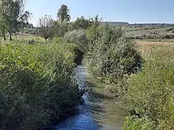 Вид на нижнее течение реки около села Шибалин в сентябре 2024 года