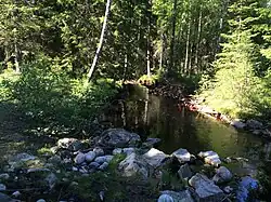 Вид вниз по течению.