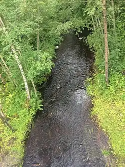 Вид в сторону Онежского озера