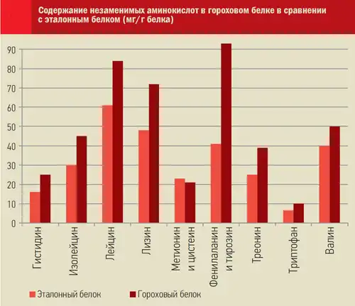 Аминокислотный состав горохового белка
