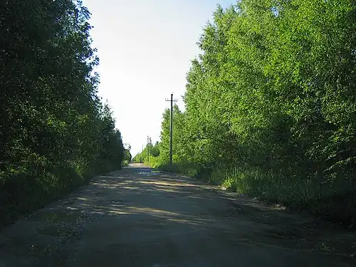 Садоводство Посадников Остров