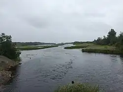 Вид в сторону Онежского озера