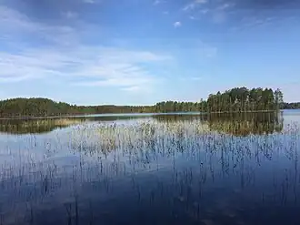 Вид с южного берега