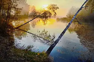 Осеннее утро на р. Псёл