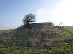 Северо-восточный дот